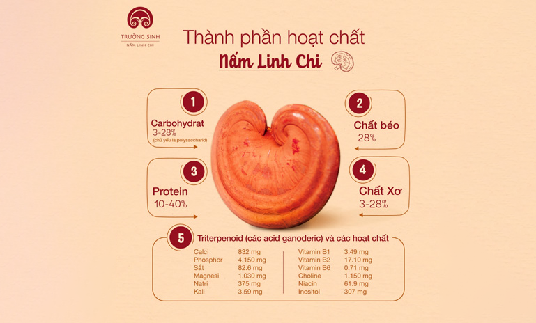 NGUỒN GỐC CỦA NẤM LINH CHI