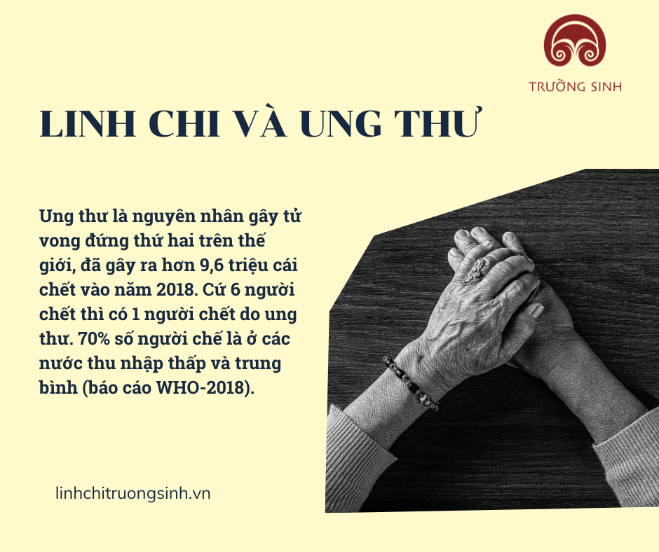 LINH CHI VÀ UNG THƯ